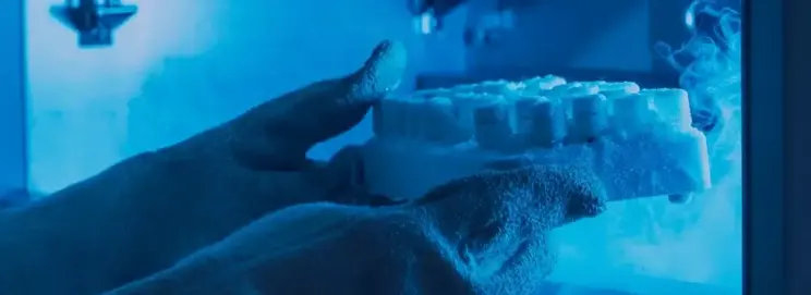 Dry ice, the solid form of carbon dioxide, is a commonly employed solution for l